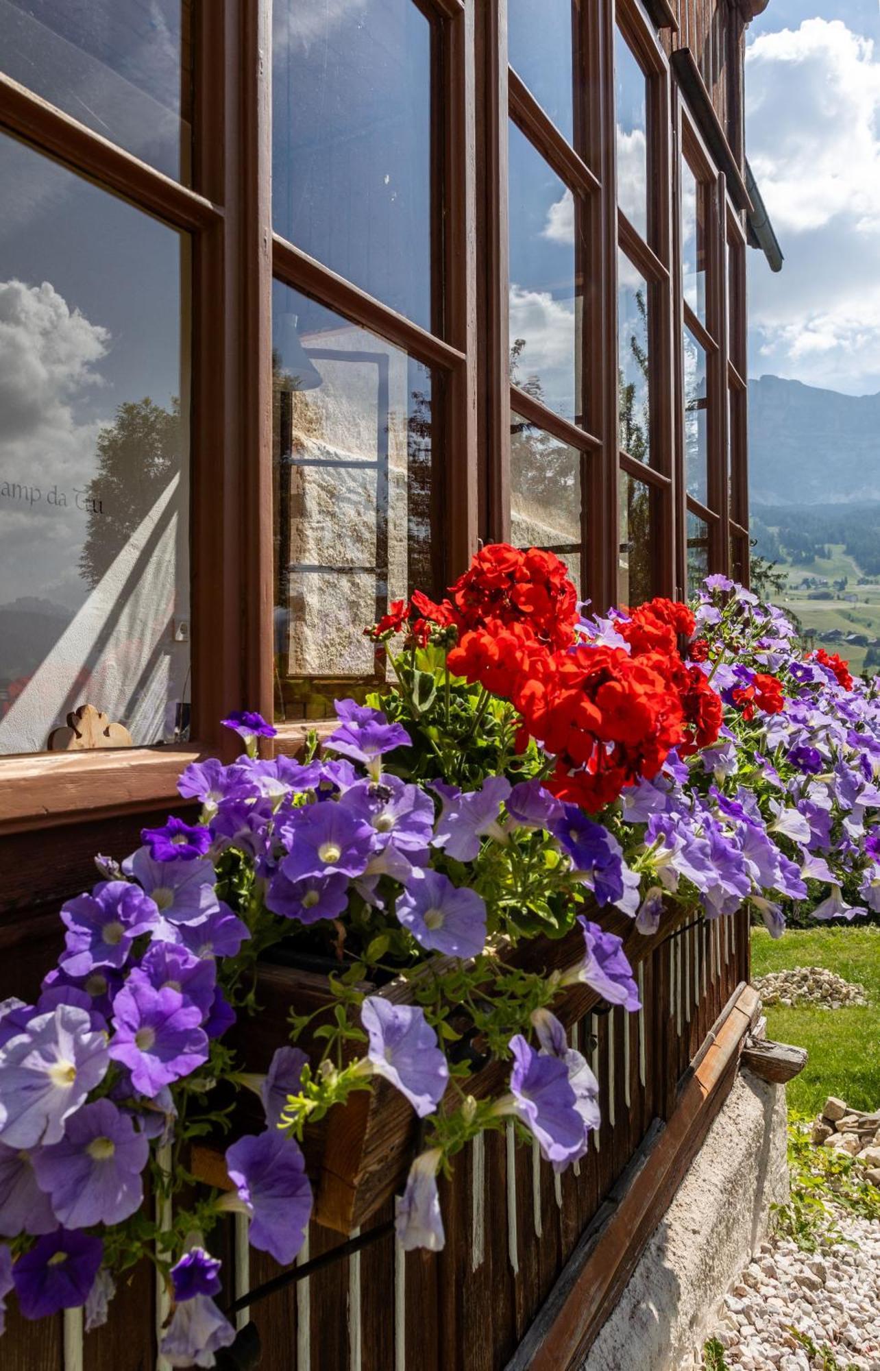 Agriturismo Maso Runch Бадия Экстерьер фото